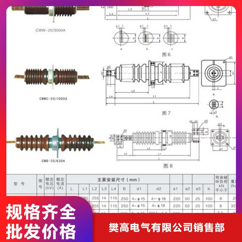 CWW-10/2500陶瓷套管