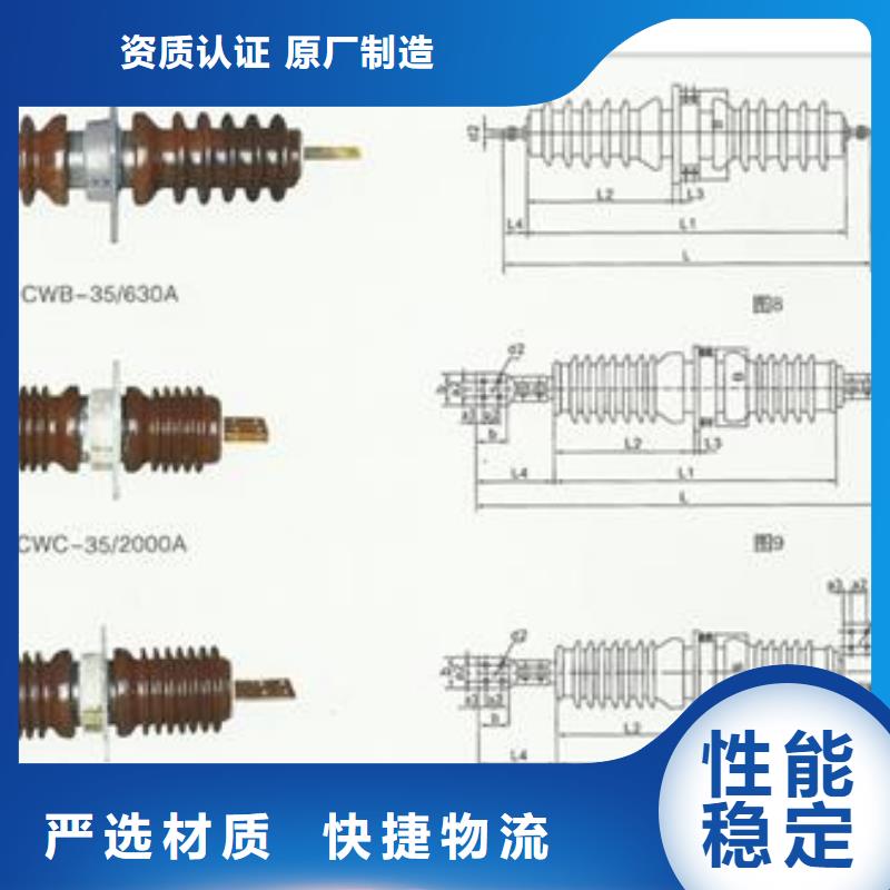 CWWB-20/1250A高压穿墙套管