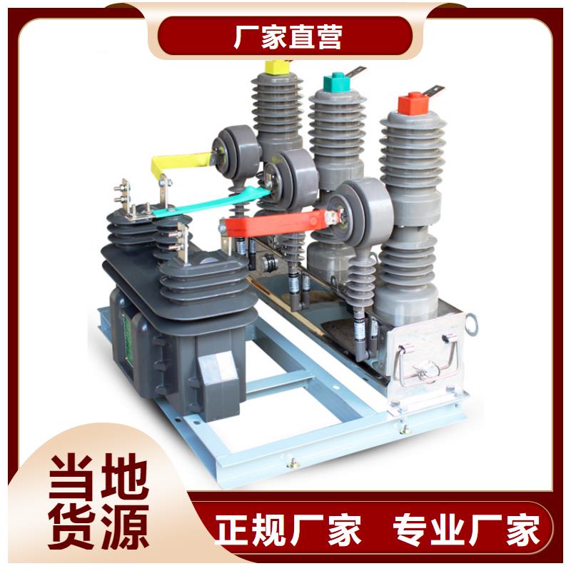真空断路器高低压电器实体诚信厂家