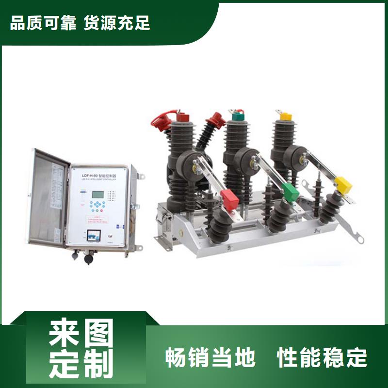 真空断路器氧化锌避雷器厂质量为本