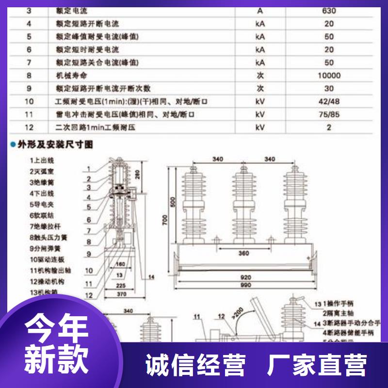 【真空断路器_氧化锌避雷器货源充足】