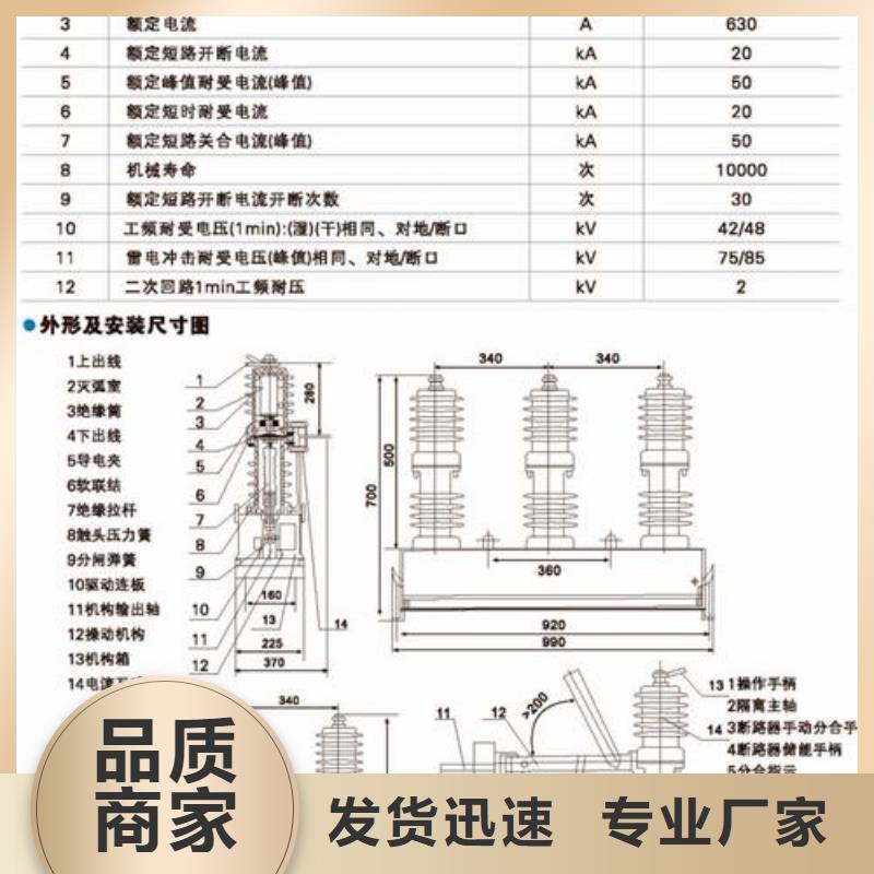 真空断路器高低压电器实体诚信厂家