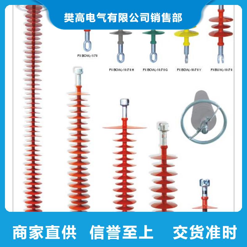 【绝缘子氧化锌避雷器专注生产N年】