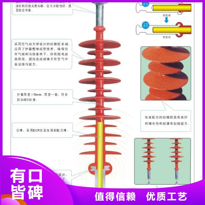 绝缘子_高低压电器供应真正的源头厂家