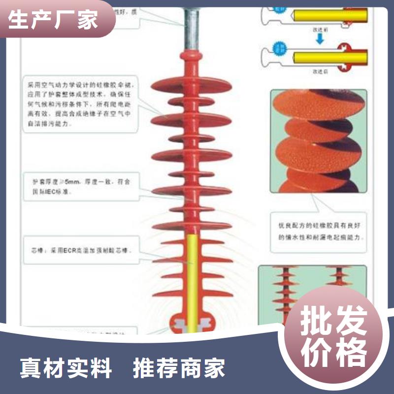 绝缘子穿墙套管销售团队符合行业标准