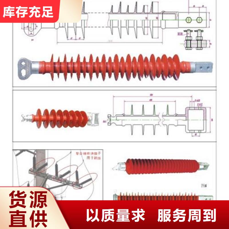 【绝缘子氧化锌避雷器专注细节使用放心】