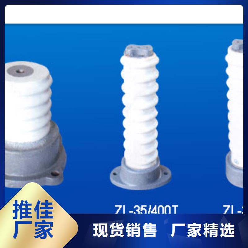 【绝缘子高低压电器本地厂家值得信赖】