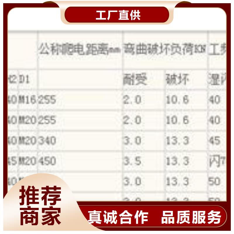 【绝缘子高低压电器本地厂家值得信赖】