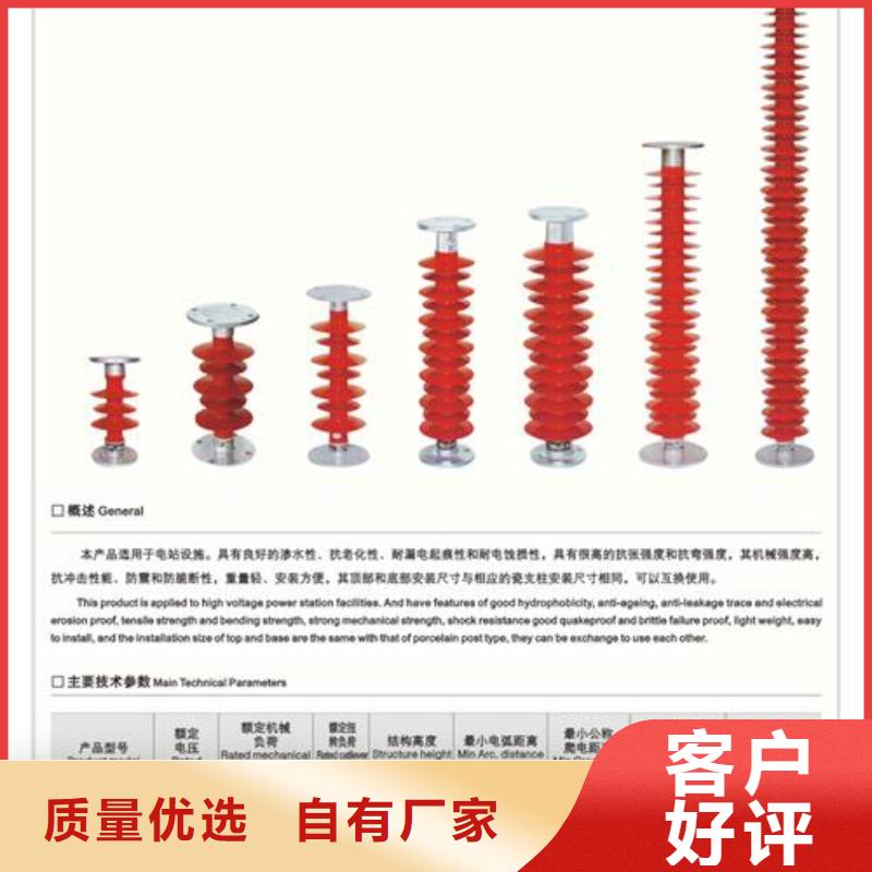 绝缘子穿墙套管销售团队源头厂家供应