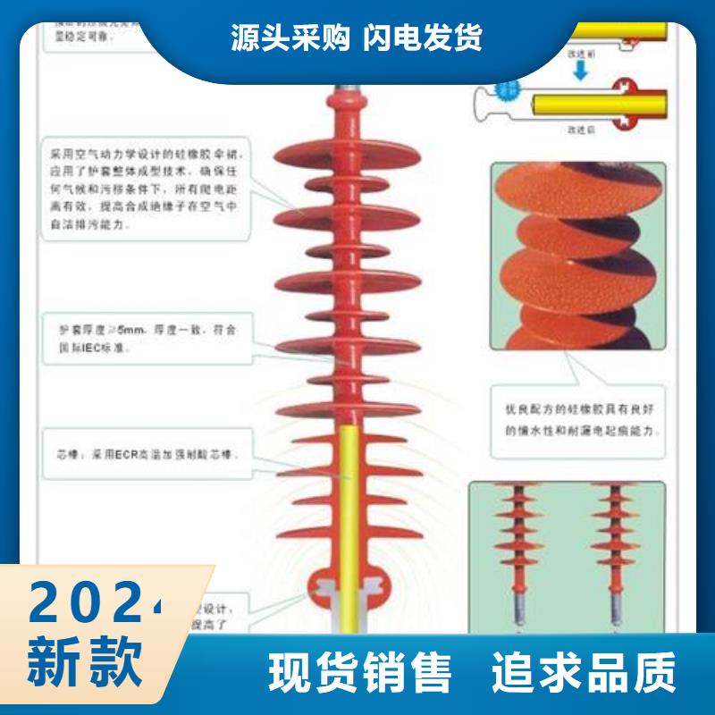 【绝缘子氧化锌避雷器专注细节使用放心】