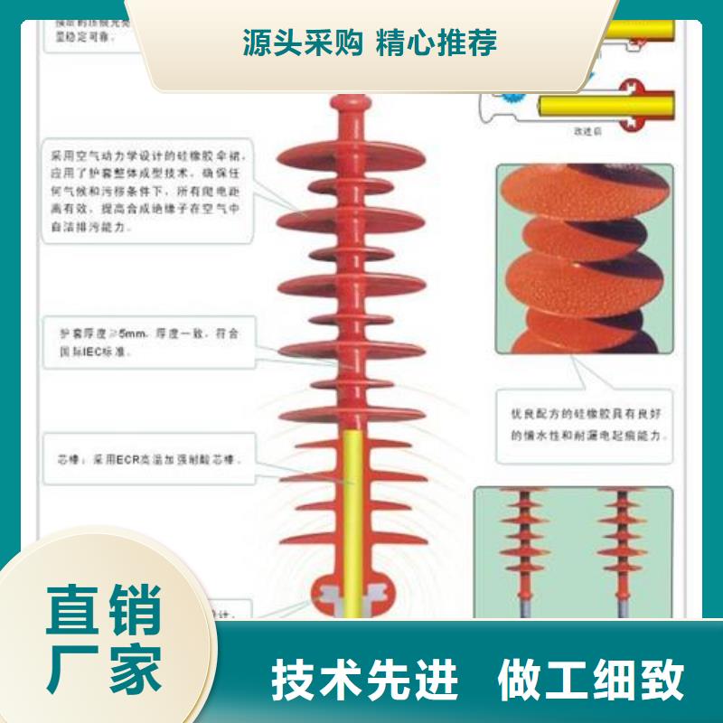 绝缘子,真空断路器批发精心推荐