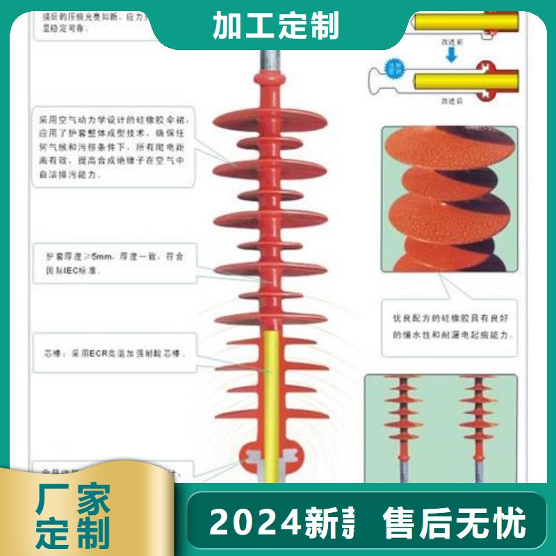 绝缘子真空断路器贴心服务