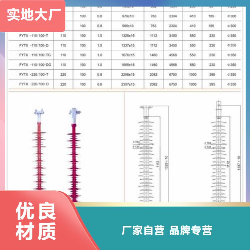 【绝缘子氧化锌避雷器专注生产N年】