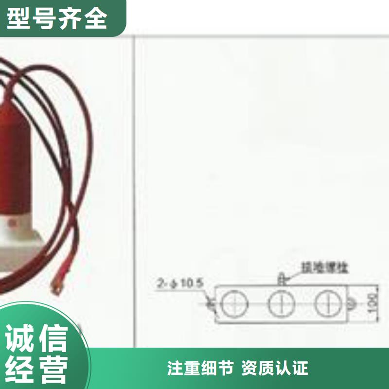 过电压保护器真空断路器厂家精选货源