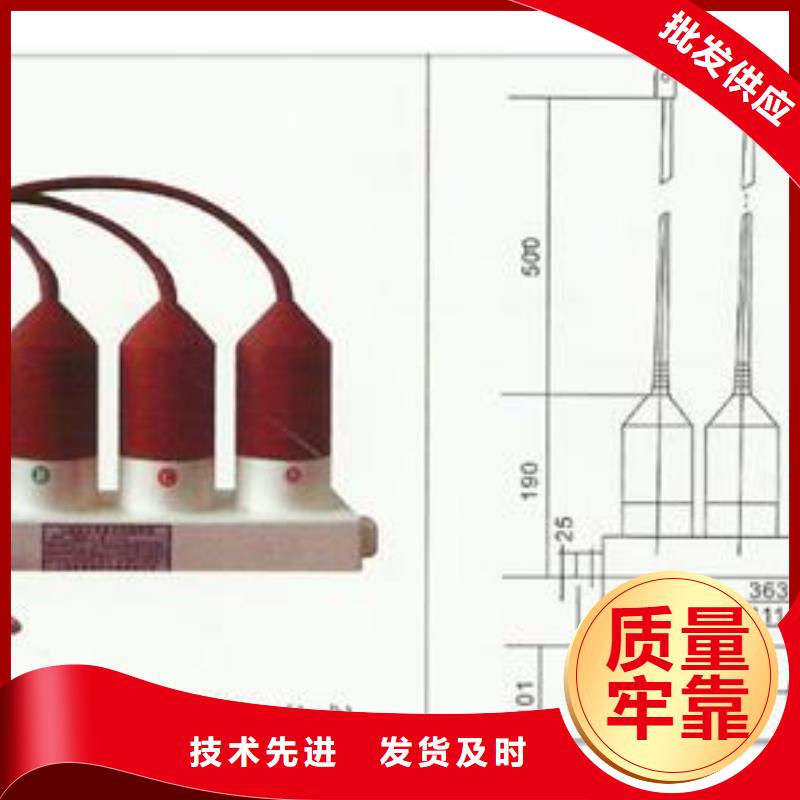 过电压保护器真空断路器厂家精选货源