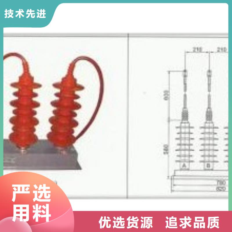 过电压保护器_【真空断路器】品牌专营