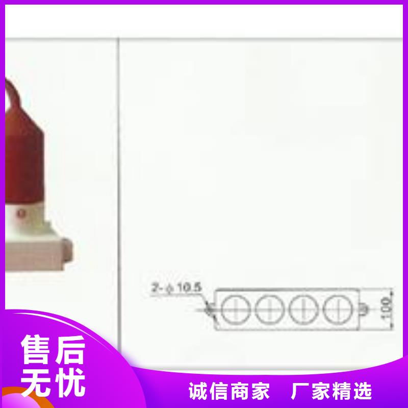 过电压保护器氧化锌避雷器批发按需定做