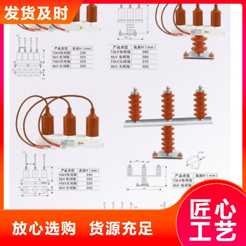 过电压保护器绝缘子用心经营