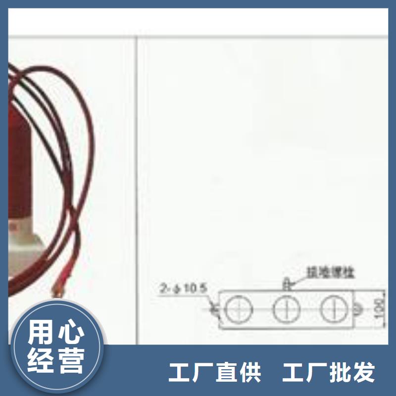 过电压保护器真空断路器厂家精选货源