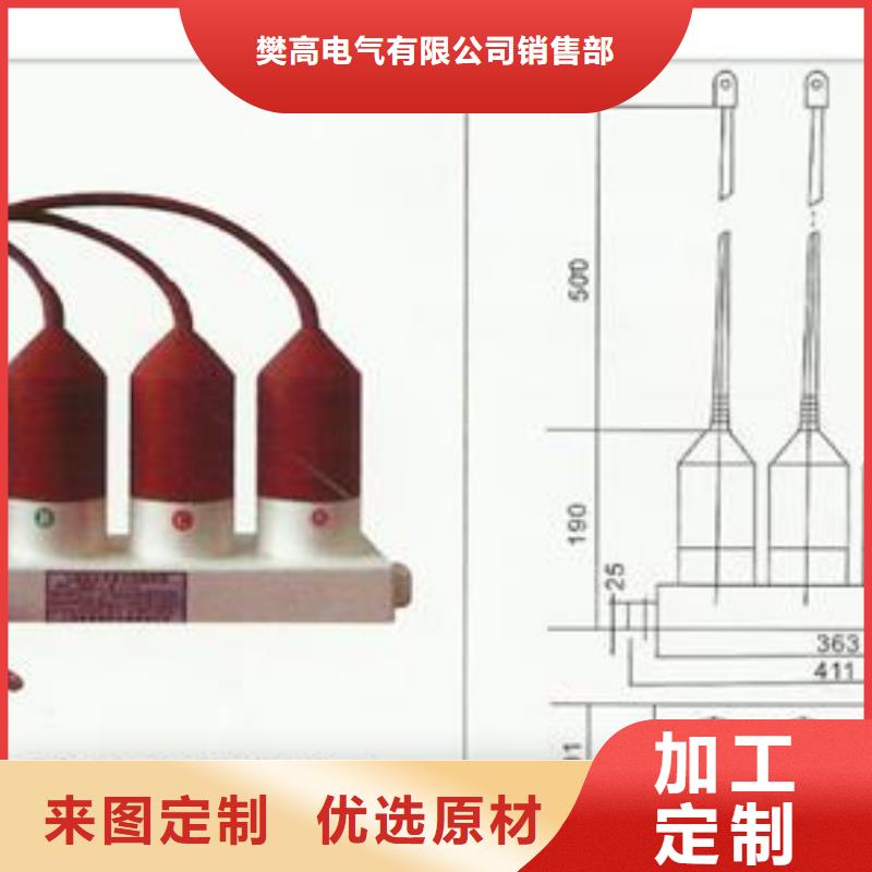 过电压保护器绝缘子合作共赢