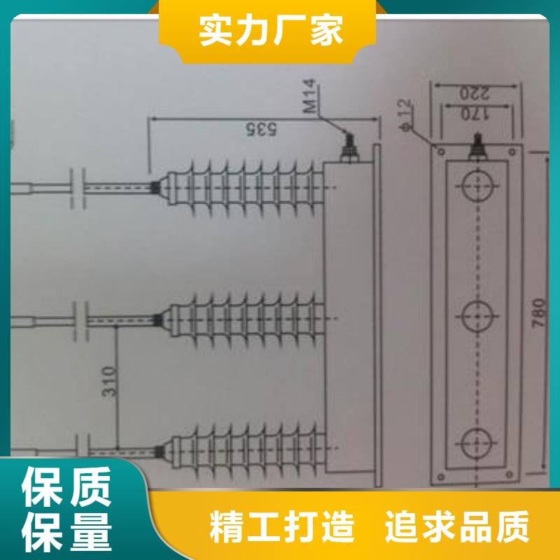 过电压保护器绝缘子用心经营