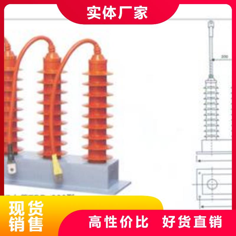 过电压保护器绝缘子用心经营