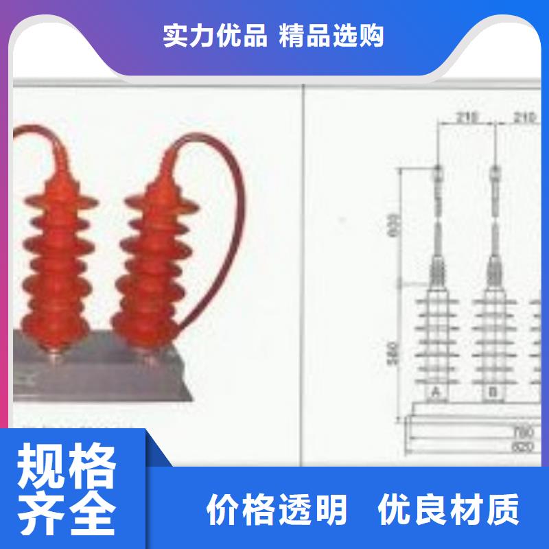 过电压保护器绝缘子用心经营