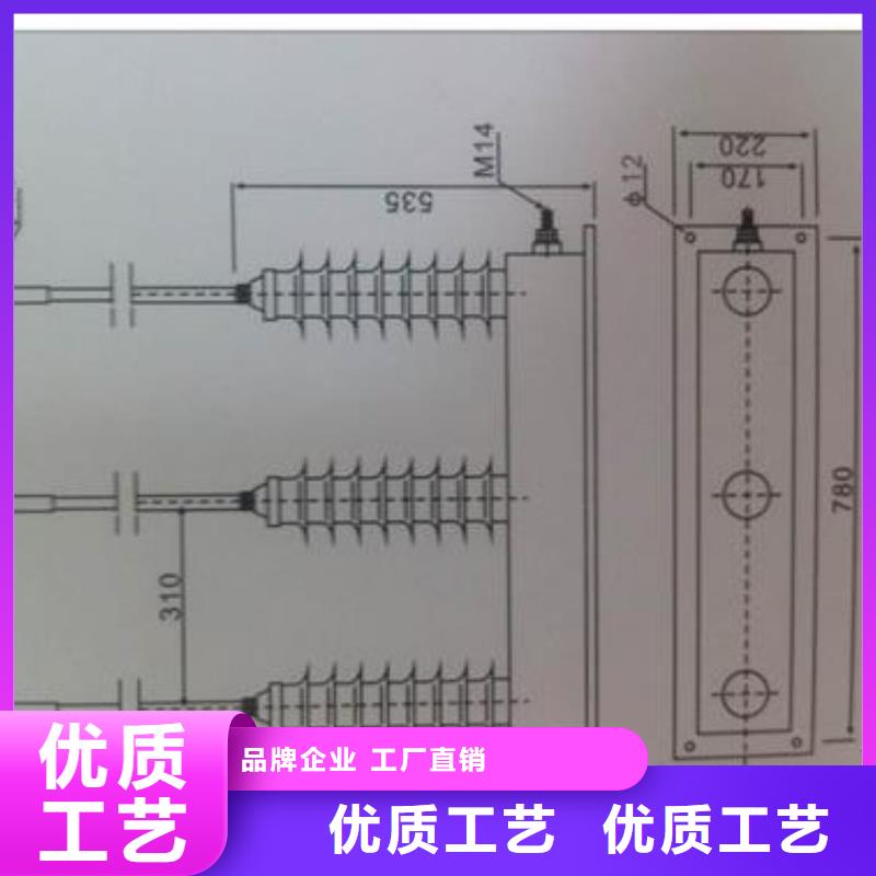 【过电压保护器】绝缘子专业生产N年