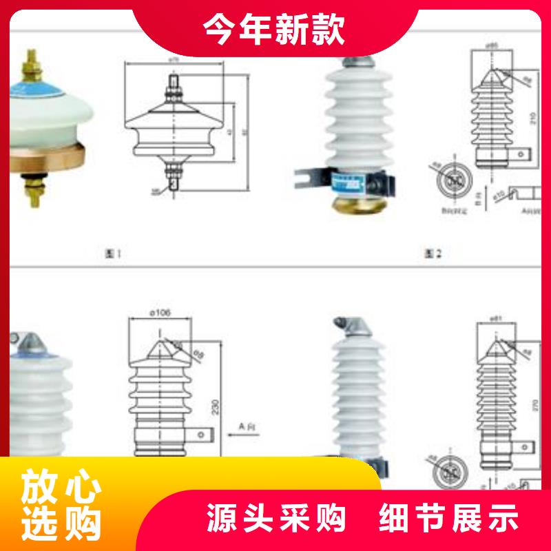 【过电压保护器】绝缘子专业生产N年