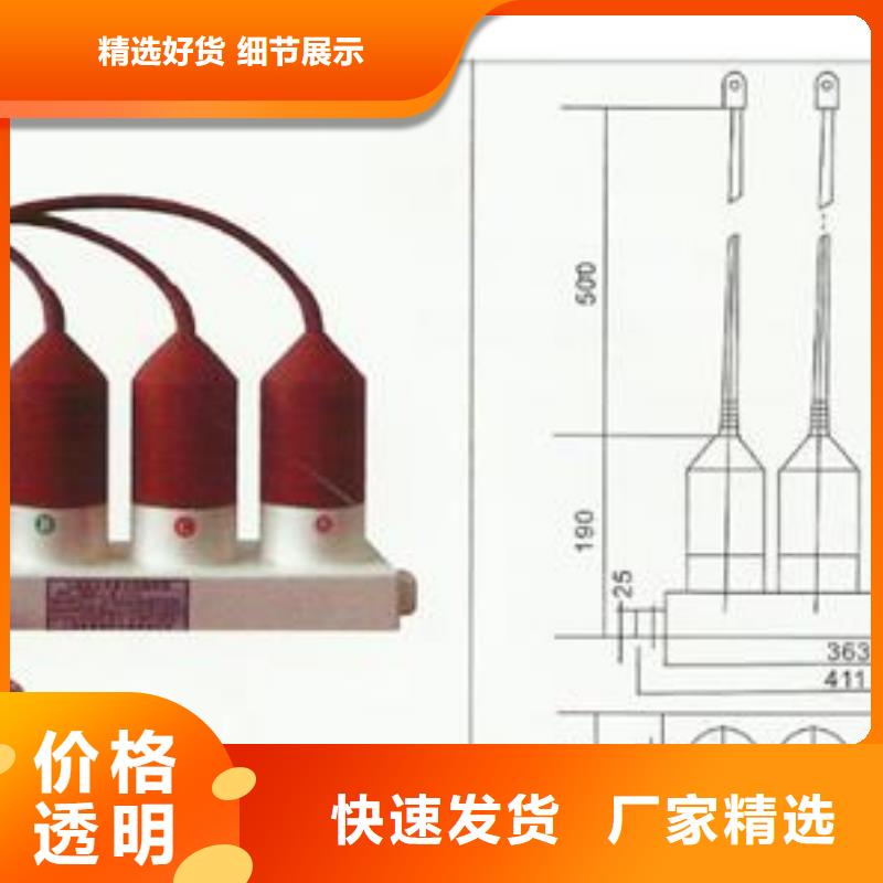 过电压保护器跌落式熔断器厂家批发货源