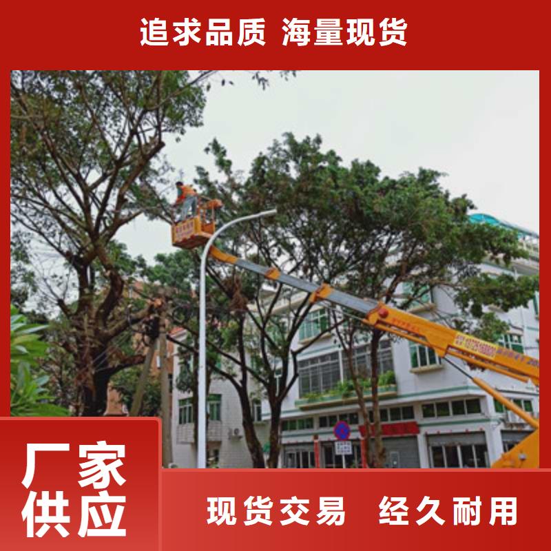 云梯车租赁支持加工定制