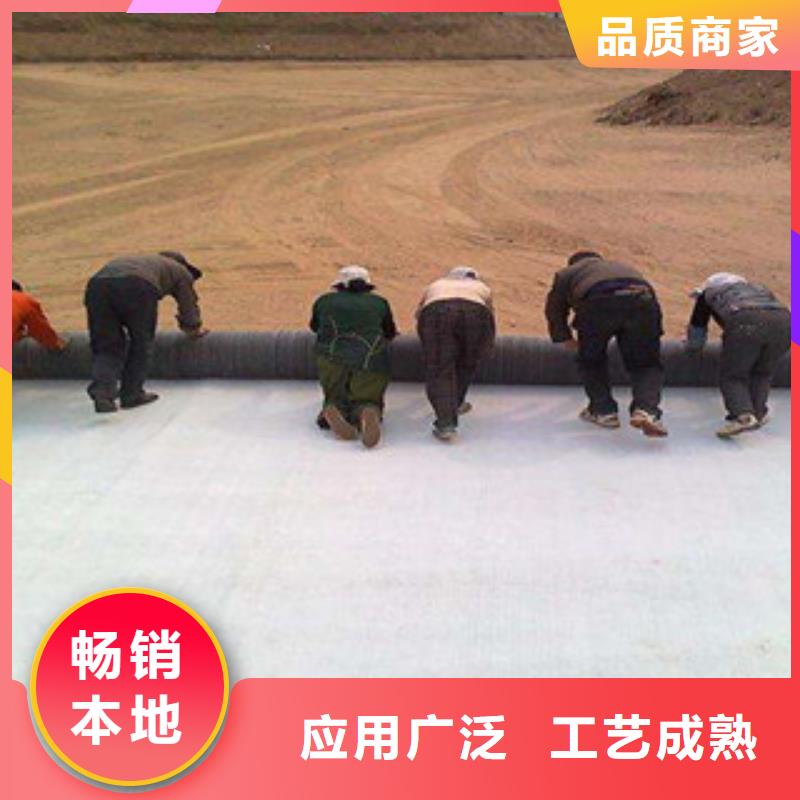 【膨润土防水毯塑料土工格栅一站式服务】