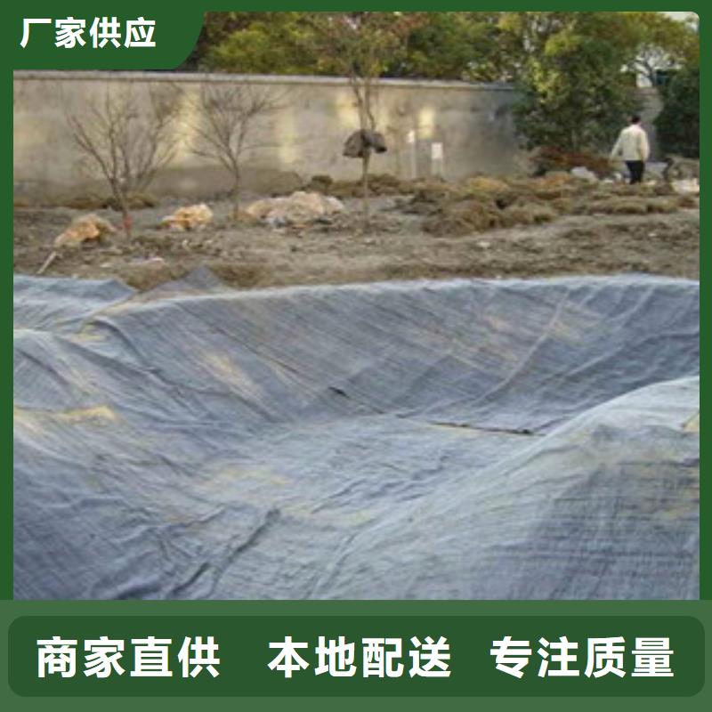 膨润土防水毯_塑料土工格栅价格实惠工厂直供