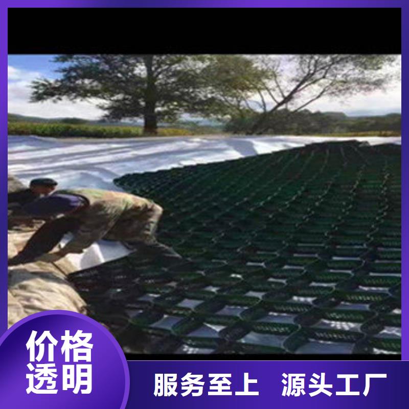 蜂巢格室双向塑料土工格栅快速物流发货