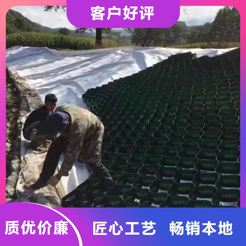 蜂巢格室蜂格网产地批发