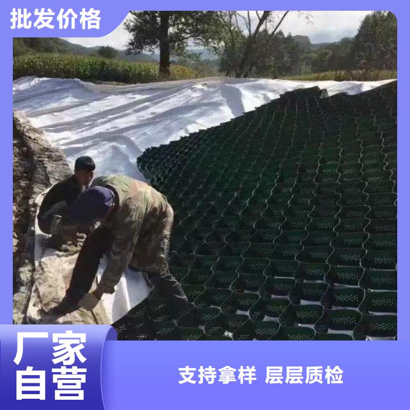 【蜂巢格室】蜂格网物美价优