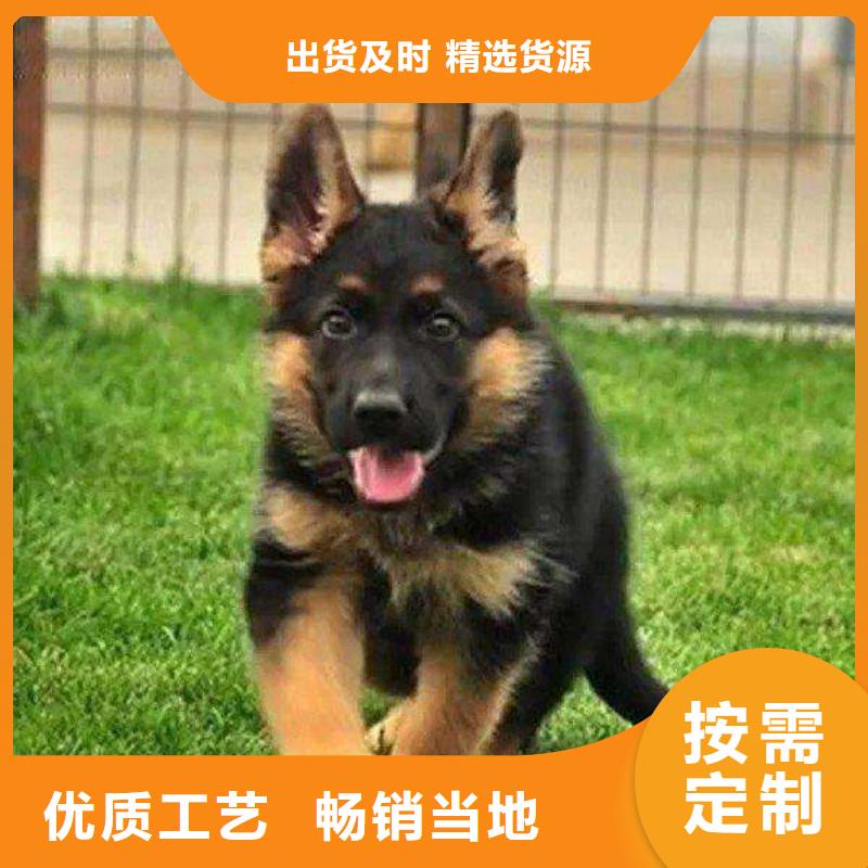 德国牧羊犬_黑狼安装简单