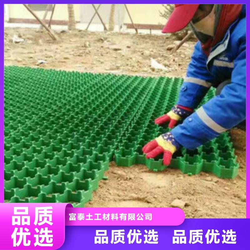 【环保植草格土工膜厂家多种场景适用】