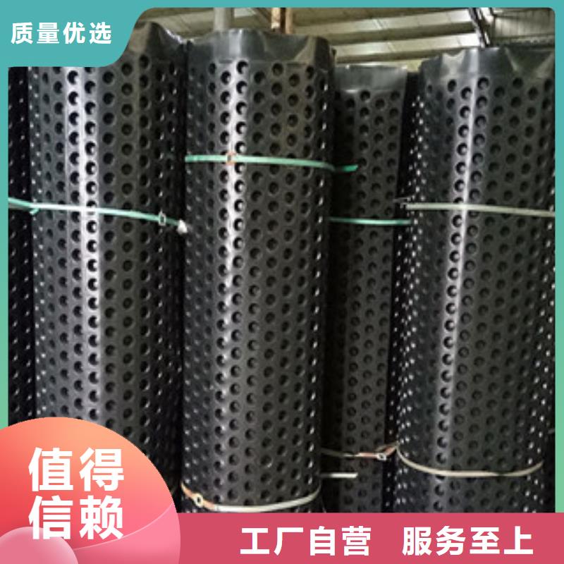 排水板排水板厂家选择大厂家省事省心