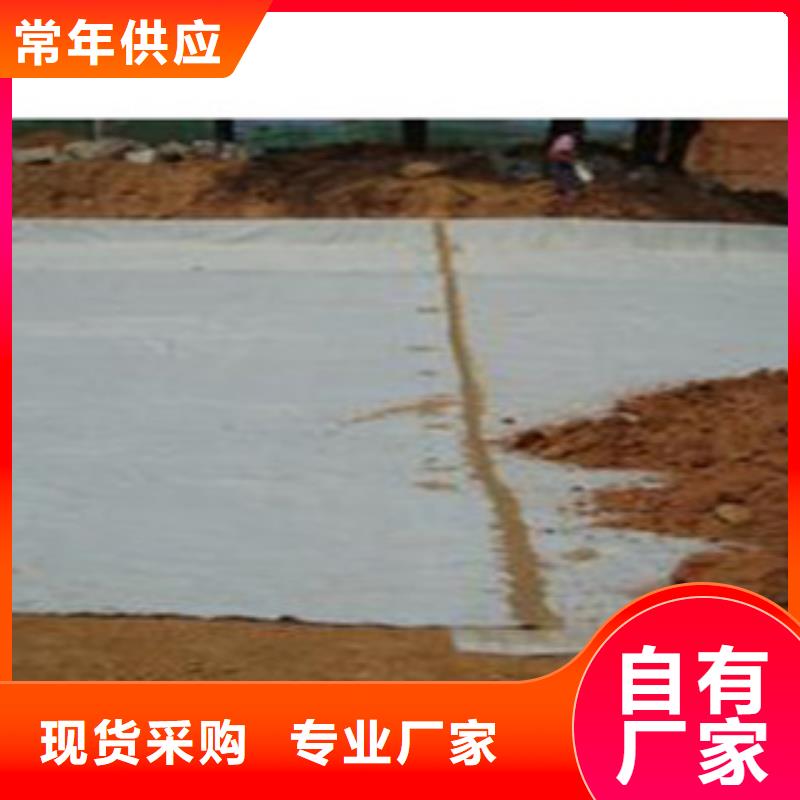 防水毯土工布厂家省心又省钱