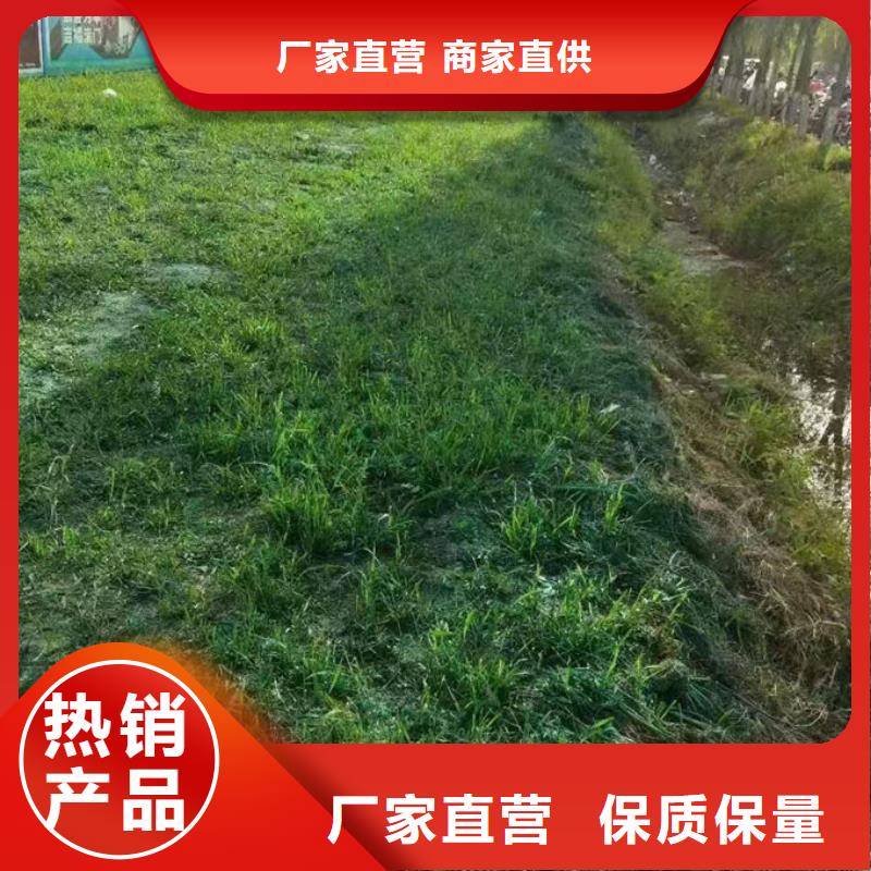 运煤火车结壳抑尘剂优质原料