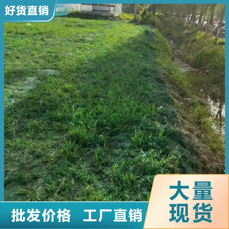 铁路煤炭运输抑尘剂产地批发