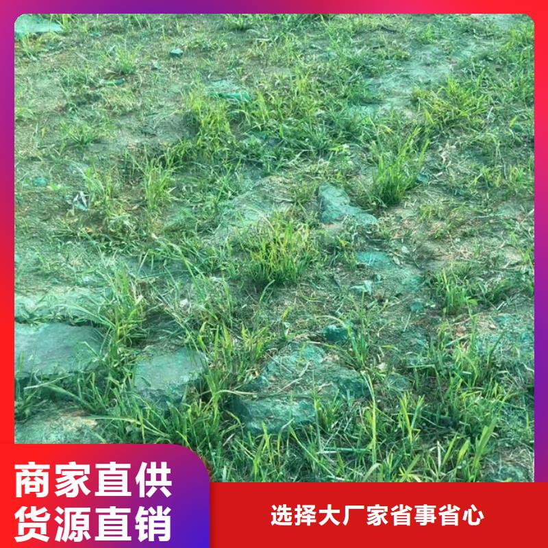 煤炭矿山抑尘剂厂家自营