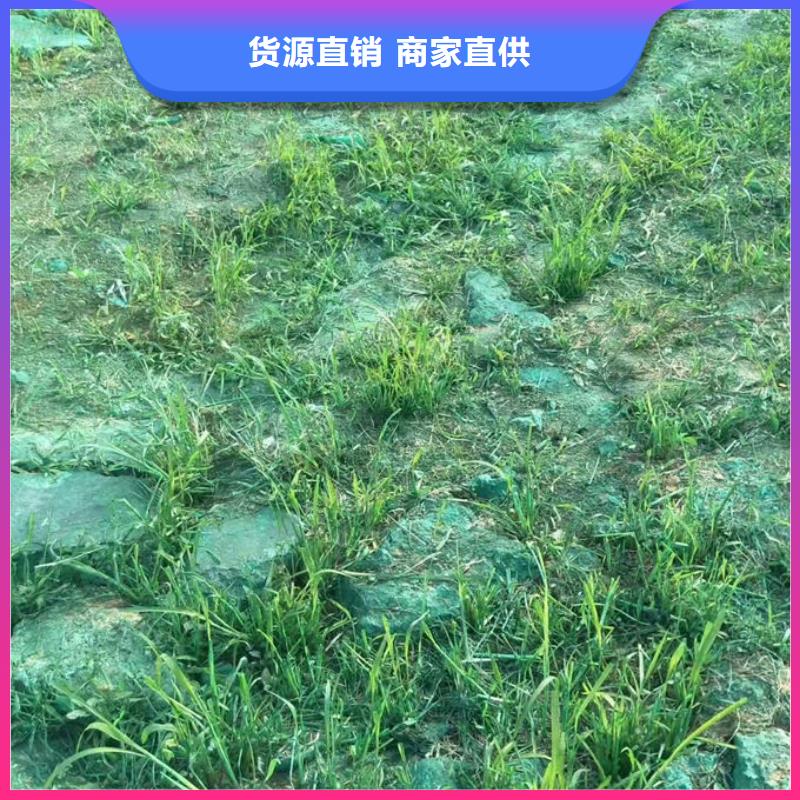 绿色生物酶抑尘剂质量抗风效果好保湿型抑尘剂