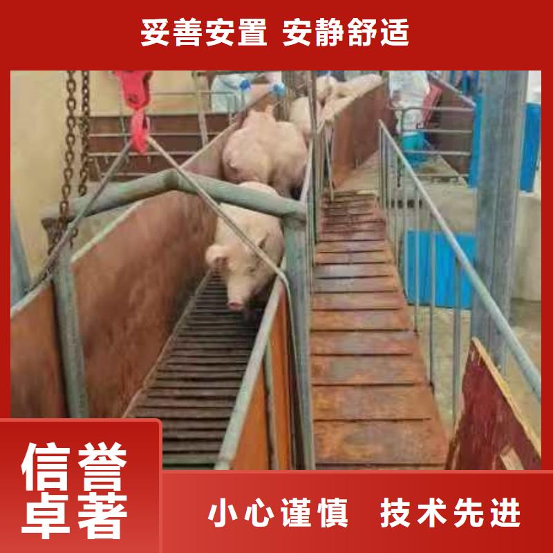 宿迁市泗洪到畜禽运输团队专业