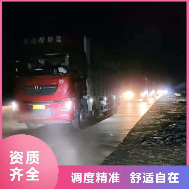 宿迁市到猪只运输专用车贴心服务