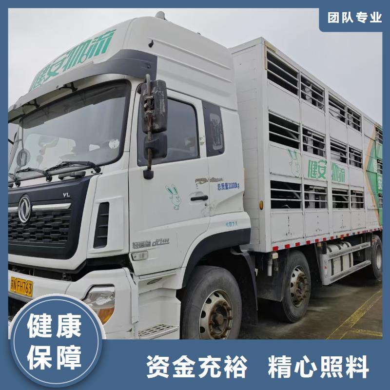 宿迁市到猪笼车运输稳妥可靠
