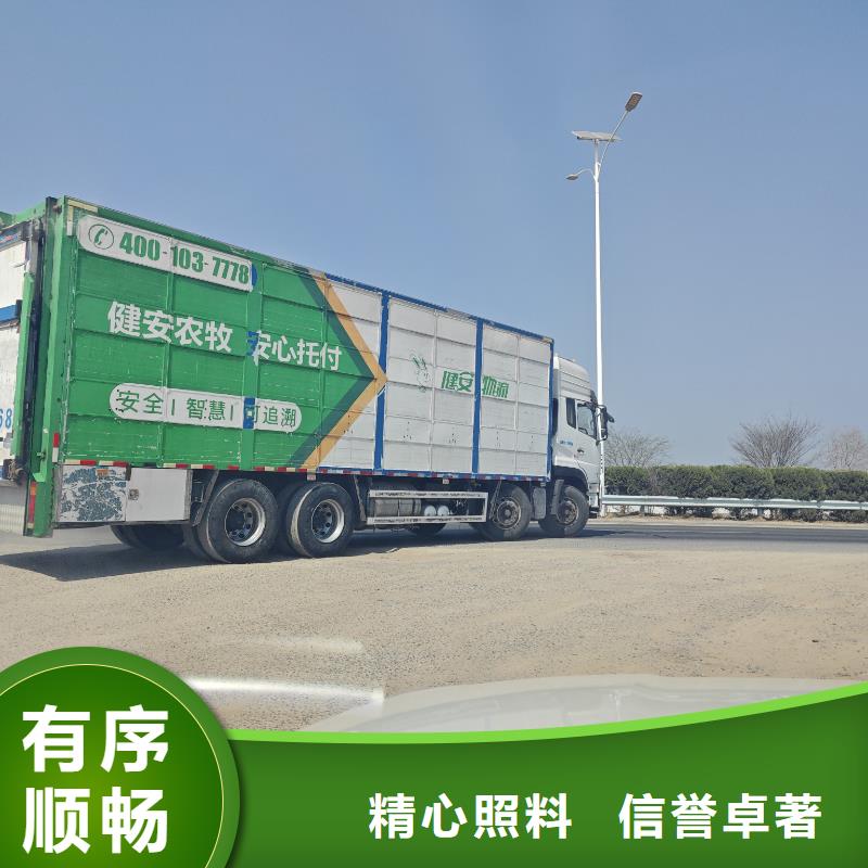 宿迁市泗阳到羊运输专用车保障有力