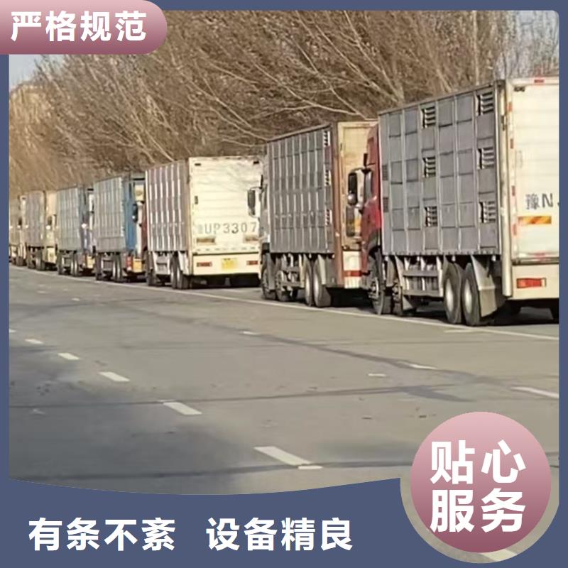 宿迁市泗阳到仔猪运输温柔对待