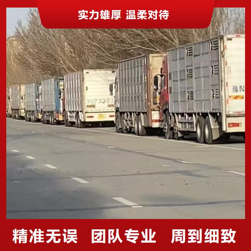 宿迁市沭阳到种猪空调车运输细致入微